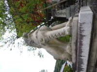 P1020886.jpg