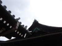 P1020889.jpg