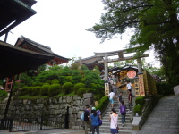 P1020894.jpg