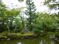 P1020904.jpg