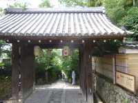 P1020913.jpg