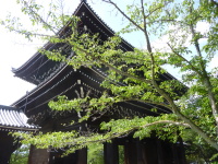 P1020916.jpg