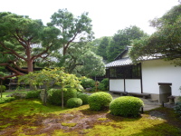 P1020920.jpg