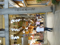 P1020930.jpg