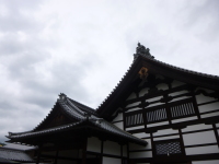P1020931.jpg