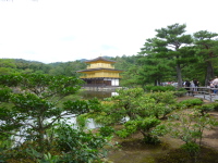 P1020938.jpg