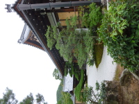 P1020939.jpg
