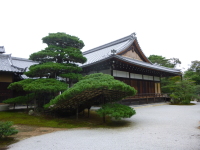 P1020941.jpg