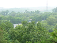 P1000650.jpg