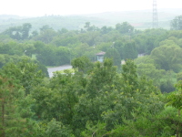 P1000651.jpg