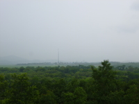P1000653.jpg