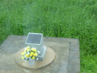 P1000657.jpg