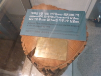 P1000663.jpg