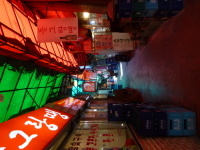 P1000677.jpg