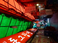 P1000678.jpg