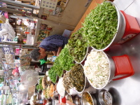 P1000679.jpg