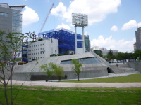 P1000681.jpg