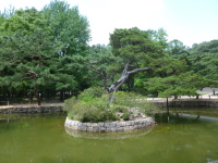 P1000683.jpg