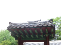 P1000684.jpg