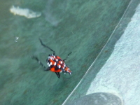 P1000686.jpg