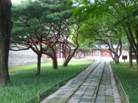 P1000687.jpg