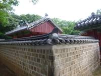 P1000688.jpg