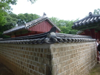 P1000689.jpg