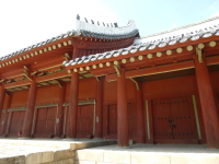 P1000690.jpg