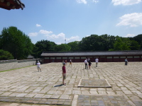 P1000691.jpg