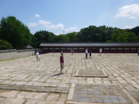 P1000692.jpg