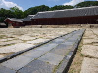 P1000695.jpg