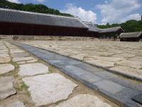 P1000696.jpg