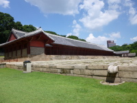 P1000697.jpg