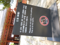 P1000699.jpg