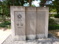 P1000700.jpg