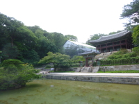 P1000701.jpg
