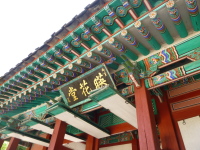 P1000706.jpg