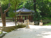 P1000709.jpg