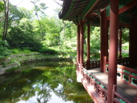 P1000710.jpg
