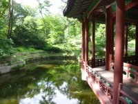 P1000711.jpg