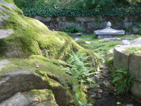 P1000714.jpg