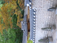 P1000715.jpg
