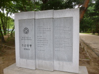 P1000716.jpg