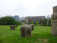 P1000718.jpg