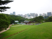P1000719.jpg
