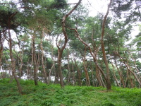 P1000720.jpg