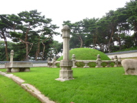 P1000725.jpg