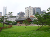 P1000726.jpg