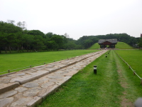 P1000727.jpg