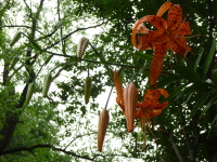 P1000729.jpg